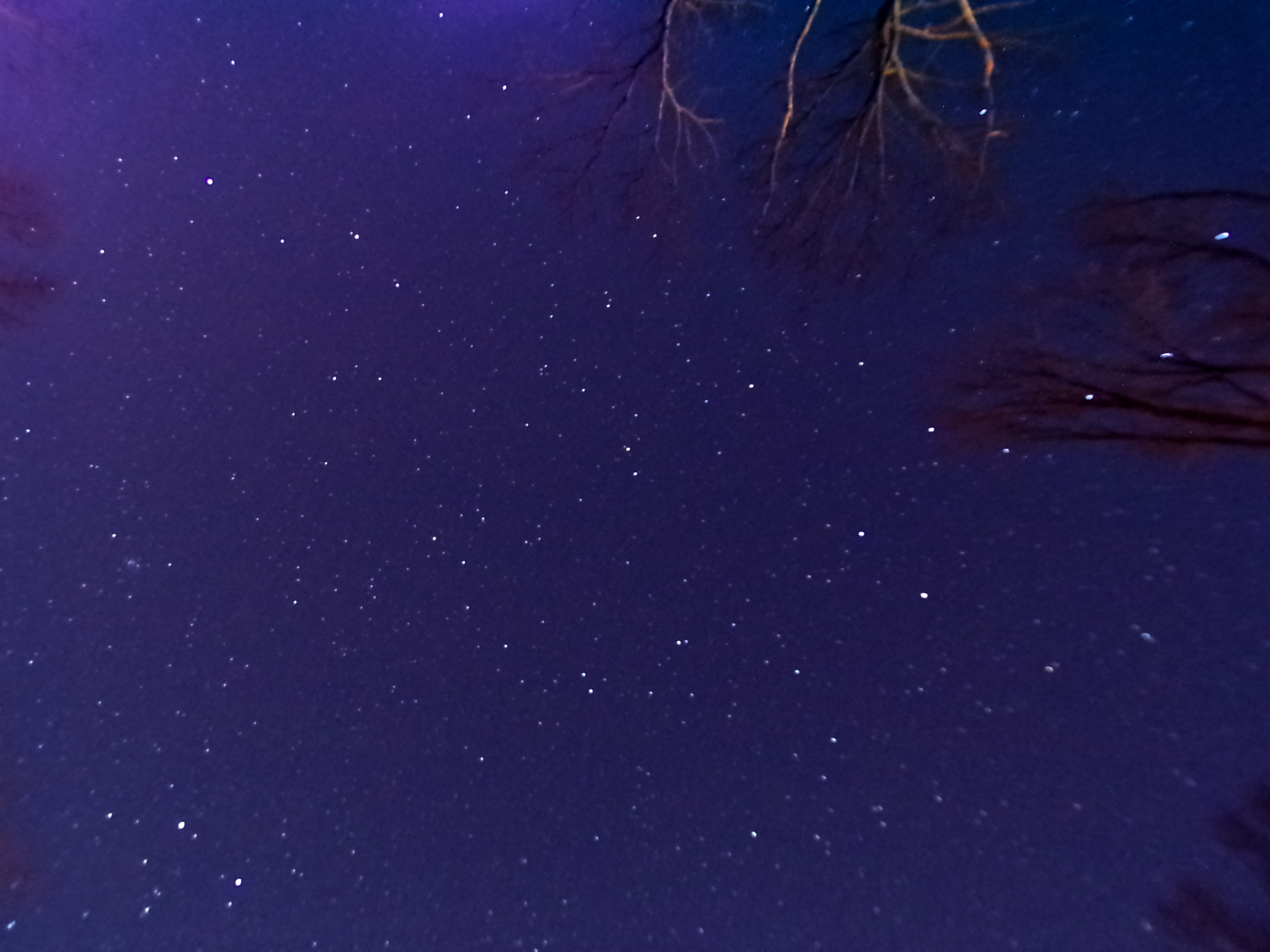 A picture of the stars