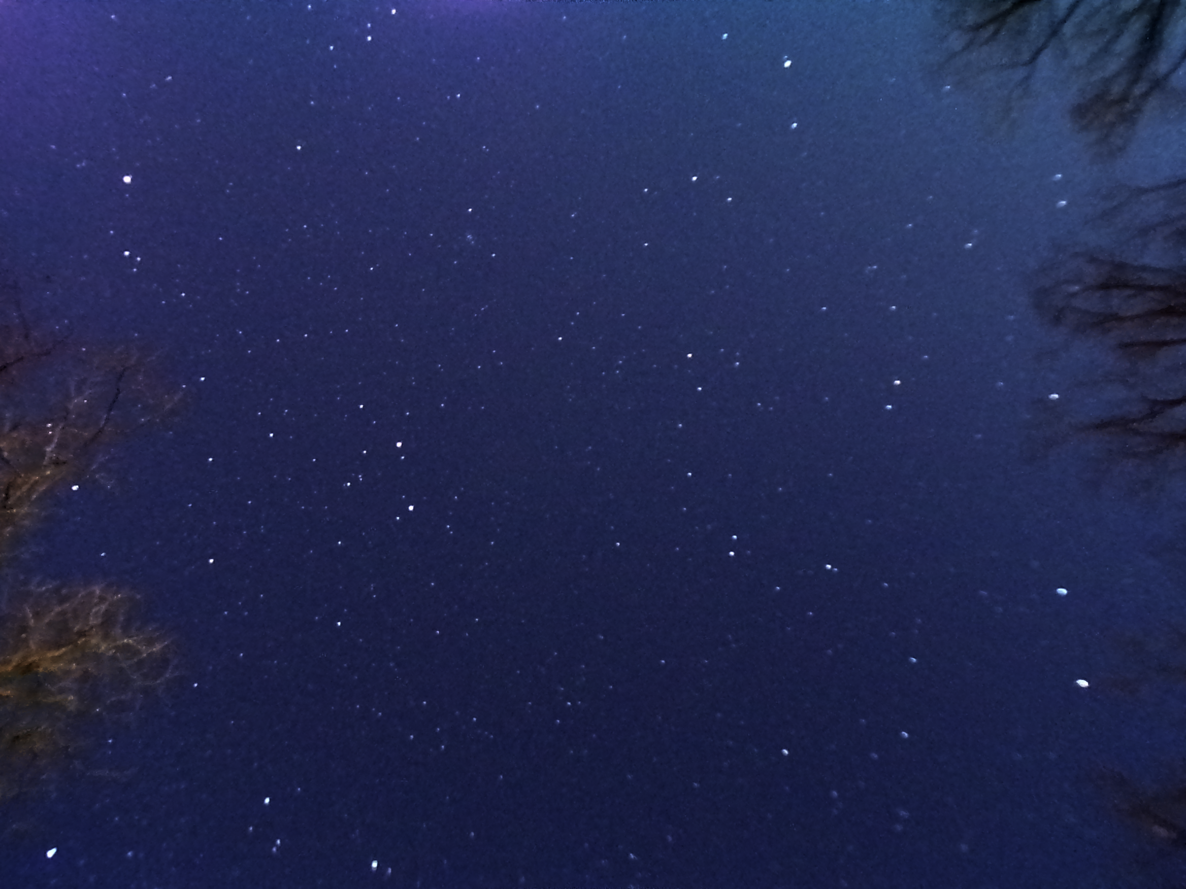 A picture of the stars